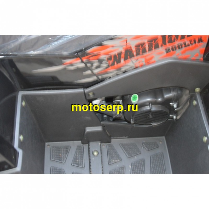 Купить  200cc Квадроцикл TaoTao Warrior 200 LUX (MILLENNIUM) 200сс, утилит, 2х4, колеса 10", автомат, реверс, (шт) (ТехМаркет купить с доставкой по Москве и России, цена, технические характеристики, комплектация фото  - motoserp.ru