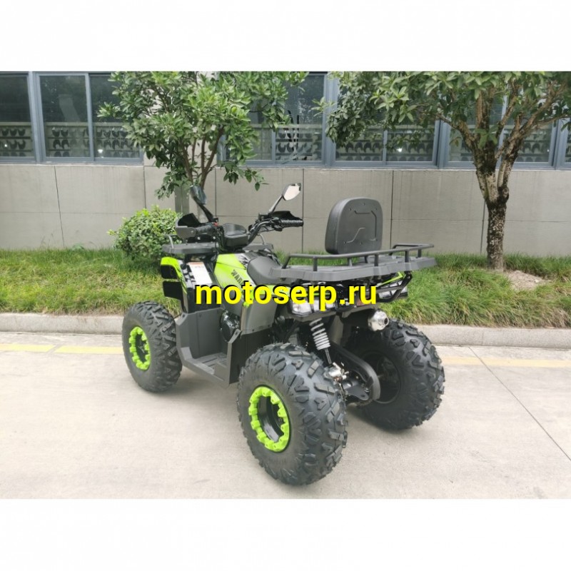 Купить  200cc Квадроцикл TaoTao Warrior 200 LUX (MILLENNIUM) 200сс, утилит, 2х4, колеса 10", автомат, реверс, (шт) (ТехМаркет купить с доставкой по Москве и России, цена, технические характеристики, комплектация фото  - motoserp.ru