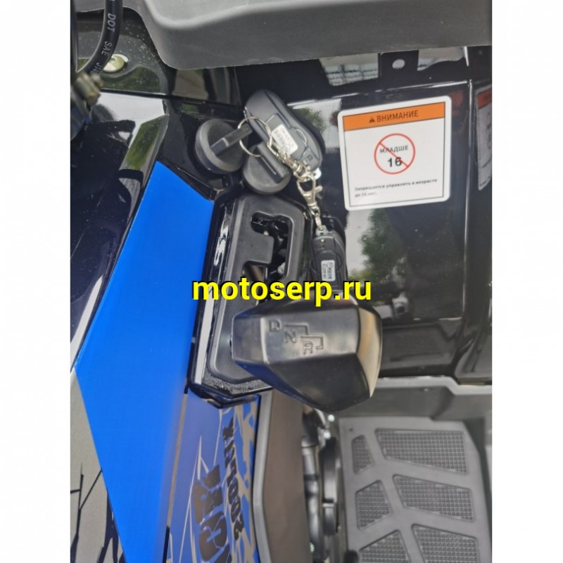 Купить  200cc Квадроцикл TaoTao Warrior 200 LUX (MILLENNIUM) 200сс, утилит, 2х4, колеса 10", автомат, реверс, (шт) (ТехМаркет купить с доставкой по Москве и России, цена, технические характеристики, комплектация фото  - motoserp.ru