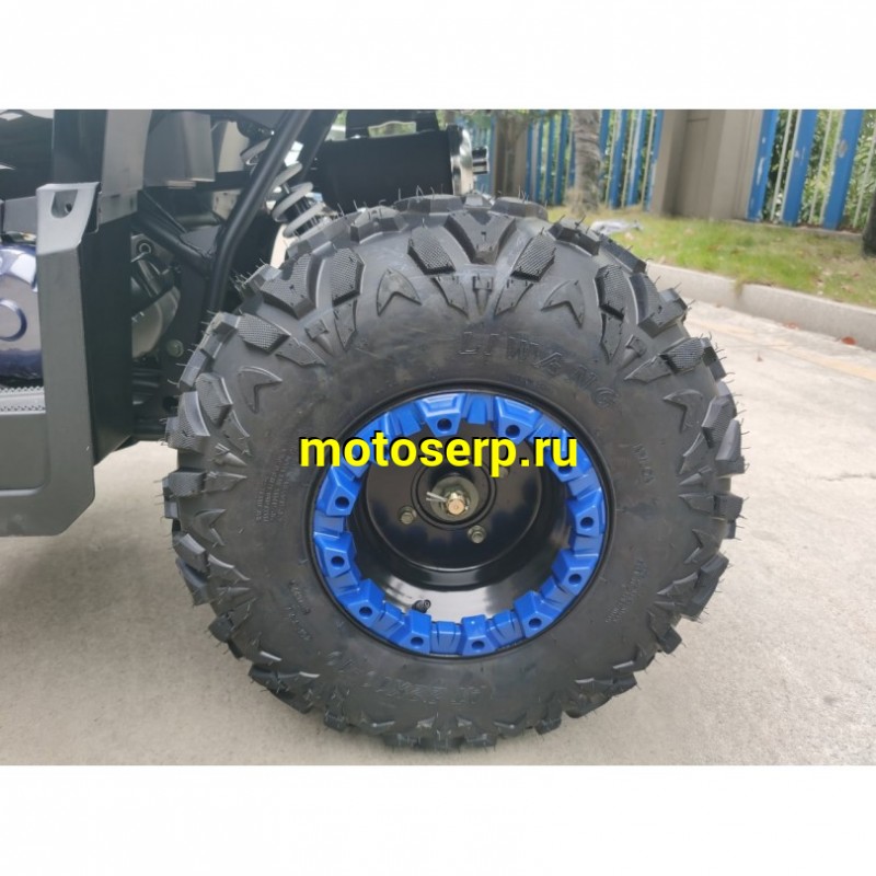 Купить  200cc Квадроцикл TaoTao Warrior 200 LUX (MILLENNIUM) 200сс, утилит, 2х4, колеса 10", автомат, реверс, (шт) (ТехМаркет купить с доставкой по Москве и России, цена, технические характеристики, комплектация фото  - motoserp.ru