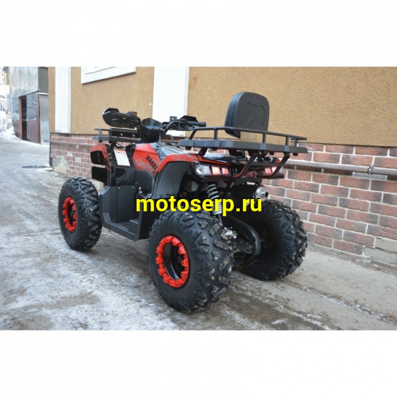 Купить  200cc Квадроцикл TaoTao Warrior 200 LUX (MILLENNIUM) 200сс, утилит, 2х4, колеса 10", автомат, реверс, (шт) (ТехМаркет купить с доставкой по Москве и России, цена, технические характеристики, комплектация фото  - motoserp.ru