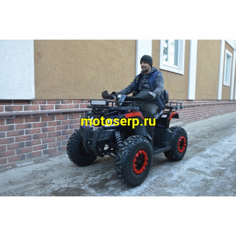 Купить  200cc Квадроцикл TaoTao Warrior 200 LUX (MILLENNIUM) 200сс, утилит, 2х4, колеса 10", автомат, реверс, (шт) (ТехМаркет купить с доставкой по Москве и России, цена, технические характеристики, комплектация фото  - motoserp.ru