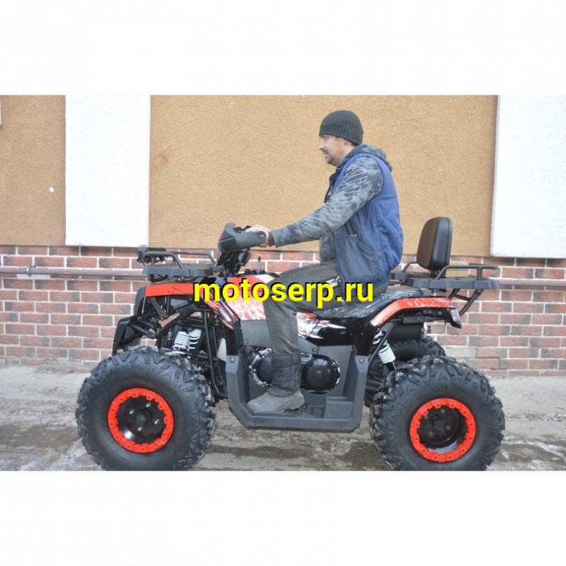 Купить  200cc Квадроцикл TaoTao Warrior 200 LUX (MILLENNIUM) 200сс, утилит, 2х4, колеса 10", автомат, реверс, (шт) (ТехМаркет купить с доставкой по Москве и России, цена, технические характеристики, комплектация фото  - motoserp.ru