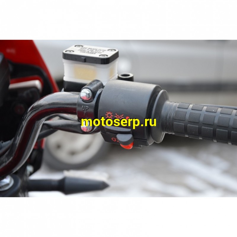 Купить  Мопед Alpha FX MAX LUX  4Т; 50cс (шт) 01250 (Мир (ФОТО купить с доставкой по Москве и России, цена, технические характеристики, комплектация фото  - motoserp.ru