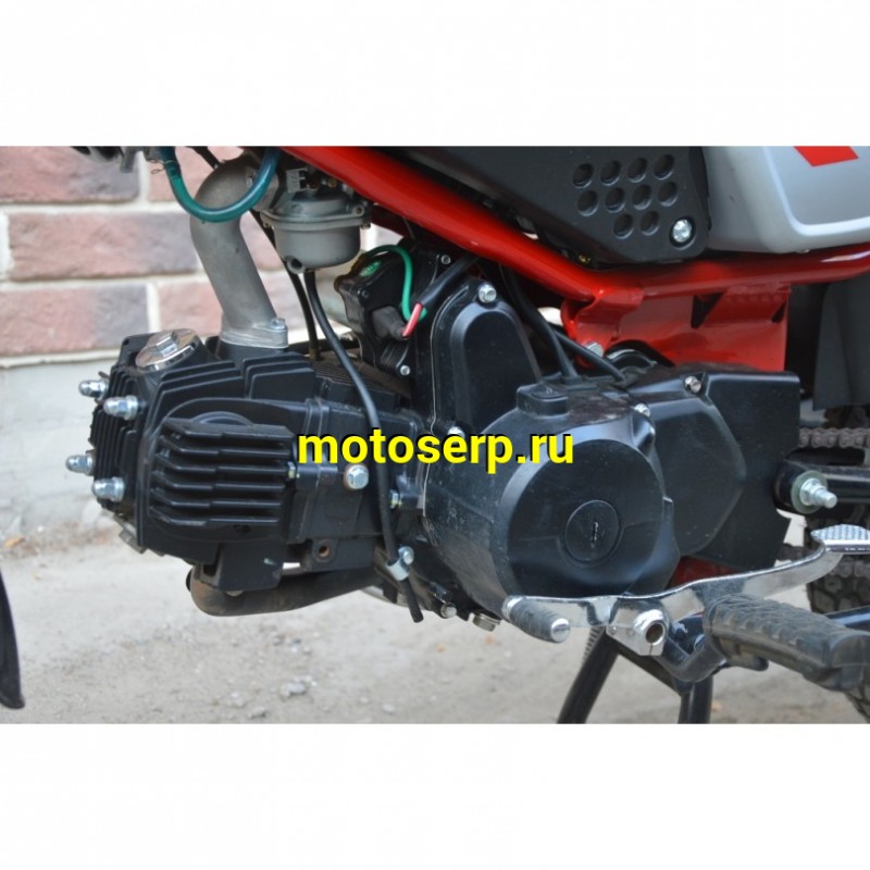 Купить  ====Мопед MM COLT2 50/110 BLACK Б/У, состояние нового, пробег 2233 км (шт) 01100  купить с доставкой по Москве и России, цена, технические характеристики, комплектация фото  - motoserp.ru