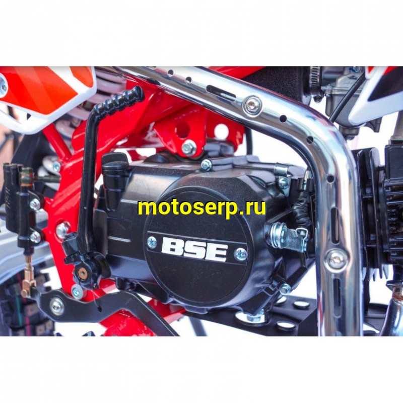 Купить  Питбайк BSE MX125 Racing Red (шт) купить с доставкой по Москве и России, цена, технические характеристики, комплектация фото  - motoserp.ru