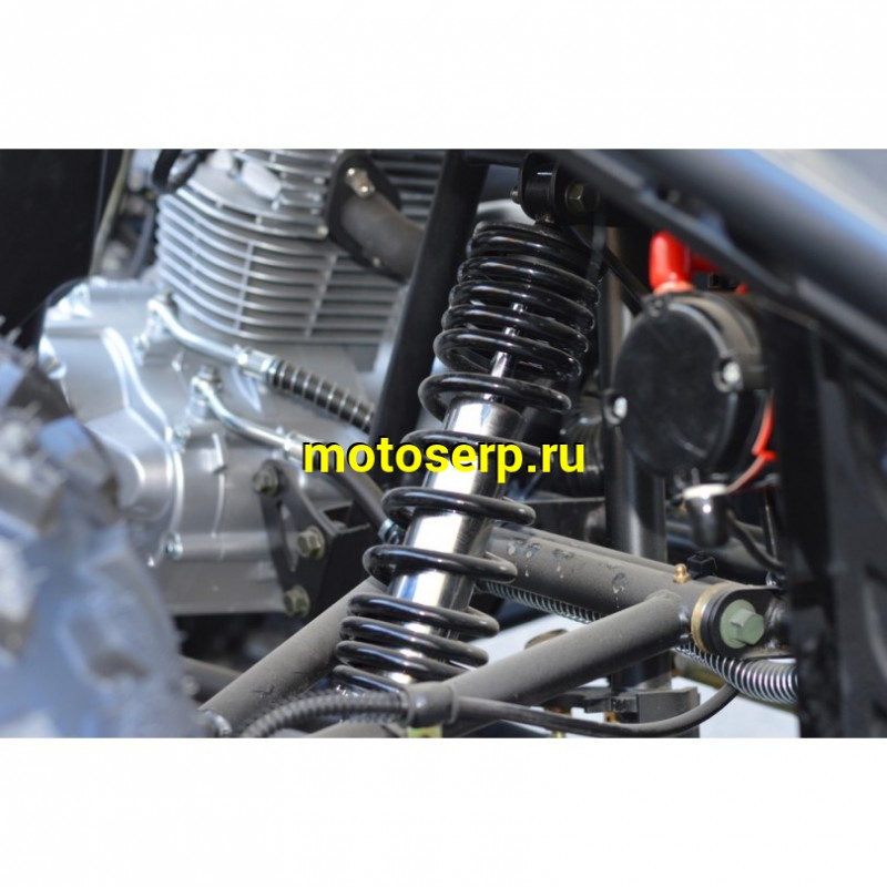 Купить  200cc Квадроцикл BULLY 200 LD premium (Булли 200) верт. мотор Loncin LX162FMK-2 200сс, утил., вариатор, лебедка!!,  литые колеса 12" (шт) (Хар  купить с доставкой по Москве и России, цена, технические характеристики, комплектация фото  - motoserp.ru