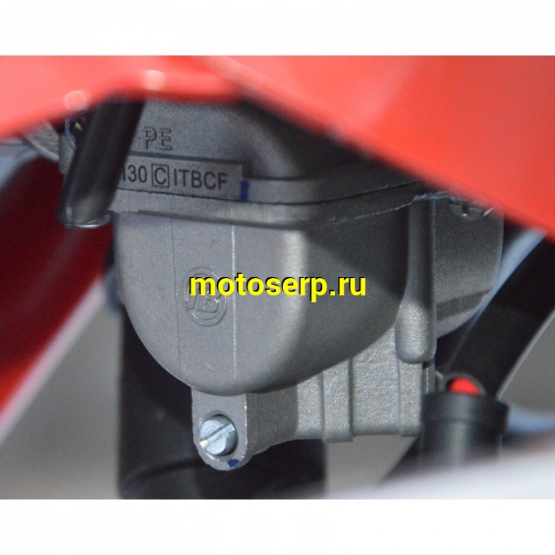 Купить  Мотоцикл Кросс/Эндуро Regulmoto Holeshot Red Edition 172FMM (ЭПТС) 300cc балан.,6КПП, 4V,подв. сж/отб KKE 2катр. 47мм  (ЭПТС) (2024г.) (зал) (шт) купить с доставкой по Москве и России, цена, технические характеристики, комплектация фото  - motoserp.ru