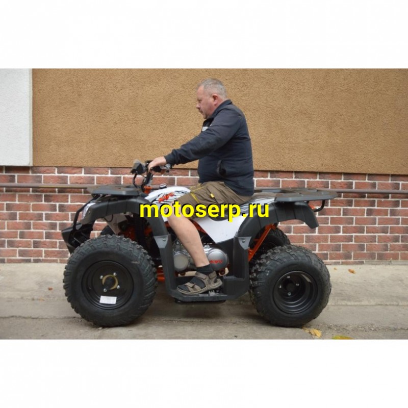 Купить  150cc Квадроцикл KAYO AU150 CVT (белый пластик, 2024 г) (ПТС) (шт) (SM купить с доставкой по Москве и России, цена, технические характеристики, комплектация фото  - motoserp.ru