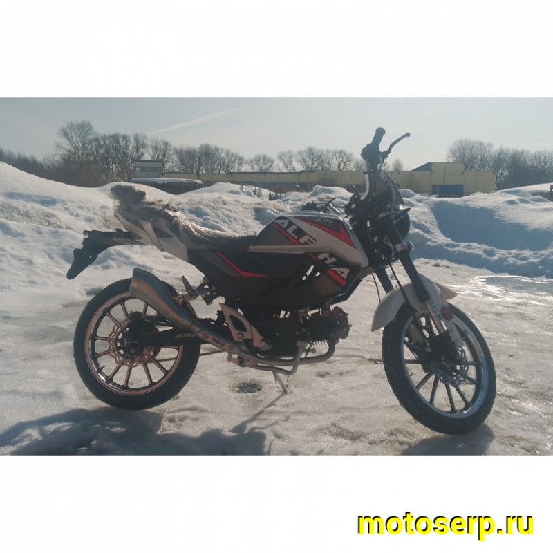 Купить  Мопед Millenium Alpha Champ  4Т; 50cc; колеса 17"литые; 4пер, эл. старт; БЕЗ КИКА!  (шт) 01500 (ТехМаркет купить с доставкой по Москве и России, цена, технические характеристики, комплектация фото  - motoserp.ru
