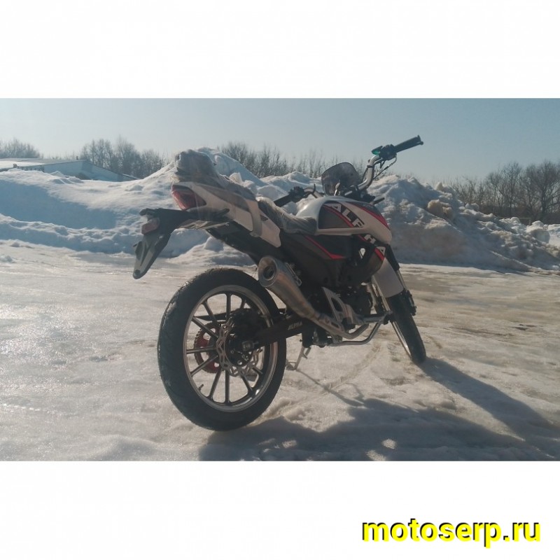 Купить  Мопед Millenium Alpha Champ  4Т; 50cc; колеса 17"литые; 4пер, эл. старт; БЕЗ КИКА!  (шт) 01500 (ТехМаркет купить с доставкой по Москве и России, цена, технические характеристики, комплектация фото  - motoserp.ru