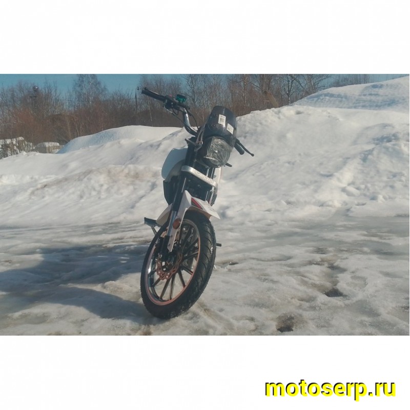 Купить  Мопед Millenium Alpha Champ  4Т; 50cc; колеса 17"литые; 4пер, эл. старт; БЕЗ КИКА!  (шт) 01500 (ТехМаркет купить с доставкой по Москве и России, цена, технические характеристики, комплектация фото  - motoserp.ru