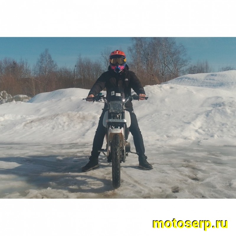 Купить  Мопед Millenium Alpha Champ  4Т; 50cc; колеса 17"литые; 4пер, эл. старт; БЕЗ КИКА!  (шт) 01500 (ТехМаркет купить с доставкой по Москве и России, цена, технические характеристики, комплектация фото  - motoserp.ru