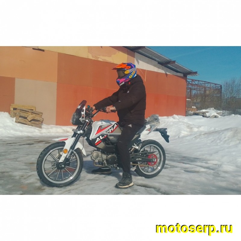 Купить  Мопед Millenium Alpha Champ  4Т; 50cc; колеса 17"литые; 4пер, эл. старт; БЕЗ КИКА!  (шт) 01500 (ТехМаркет купить с доставкой по Москве и России, цена, технические характеристики, комплектация фото  - motoserp.ru
