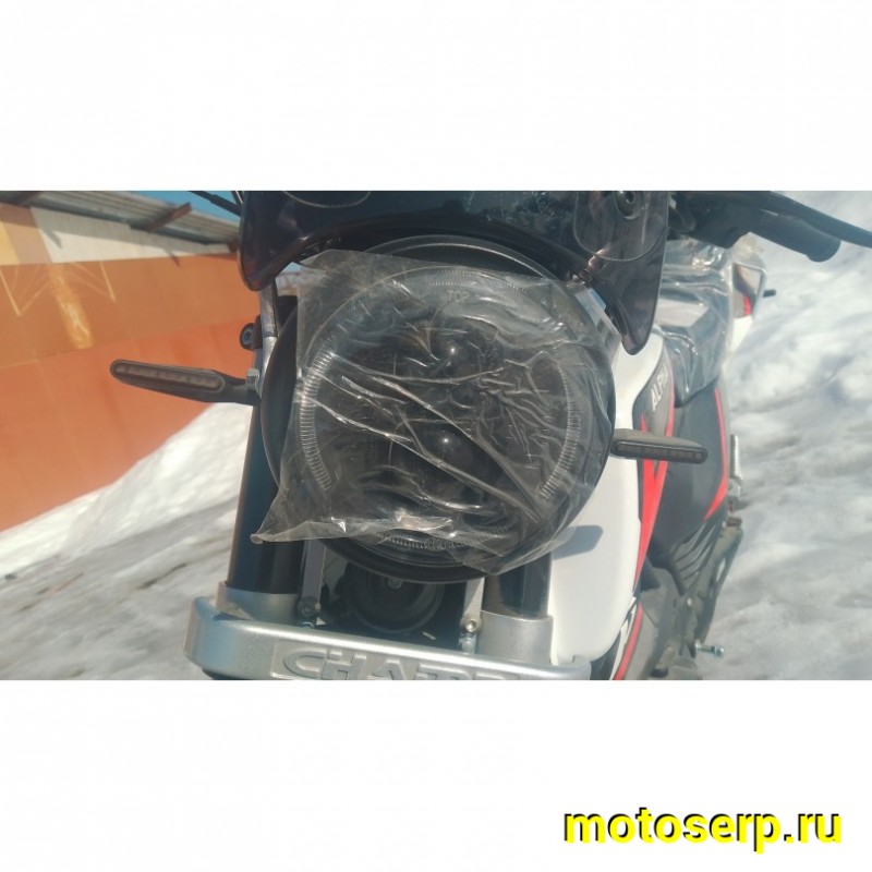 Купить  Мопед Millenium Alpha Champ  4Т; 50cc; колеса 17"литые; 4пер, эл. старт; БЕЗ КИКА!  (шт) 01500 (ТехМаркет купить с доставкой по Москве и России, цена, технические характеристики, комплектация фото  - motoserp.ru