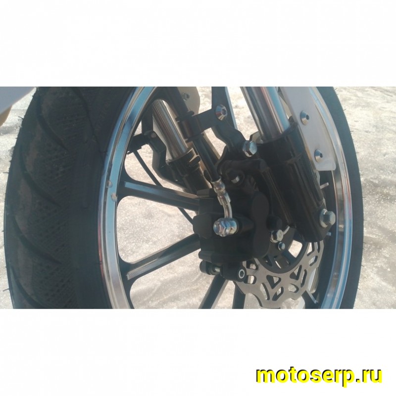 Купить  Мопед Millenium Alpha Champ  4Т; 50cc; колеса 17"литые; 4пер, эл. старт; БЕЗ КИКА!  (шт) 01500 (ТехМаркет купить с доставкой по Москве и России, цена, технические характеристики, комплектация фото  - motoserp.ru