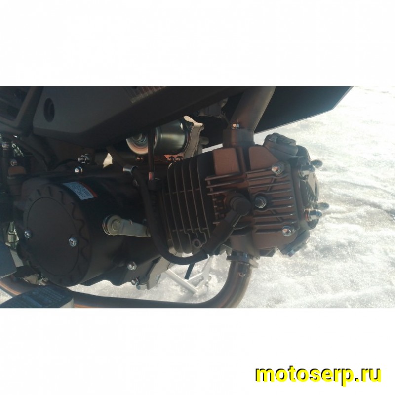 Купить  Мопед Millenium Alpha Champ  4Т; 50cc; колеса 17"литые; 4пер, эл. старт; БЕЗ КИКА!  (шт) 01500 (ТехМаркет купить с доставкой по Москве и России, цена, технические характеристики, комплектация фото  - motoserp.ru