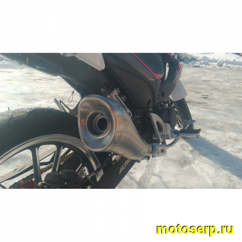 Купить  Мопед Millenium Alpha Champ  4Т; 50cc; колеса 17"литые; 4пер, эл. старт; БЕЗ КИКА!  (шт) 01500 (ТехМаркет купить с доставкой по Москве и России, цена, технические характеристики, комплектация фото  - motoserp.ru