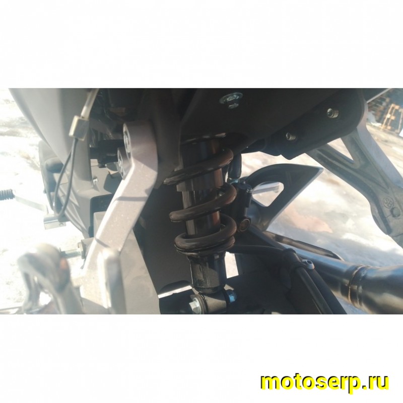 Купить  Мопед Millenium Alpha Champ  4Т; 50cc; колеса 17"литые; 4пер, эл. старт; БЕЗ КИКА!  (шт) 01500 (ТехМаркет купить с доставкой по Москве и России, цена, технические характеристики, комплектация фото  - motoserp.ru