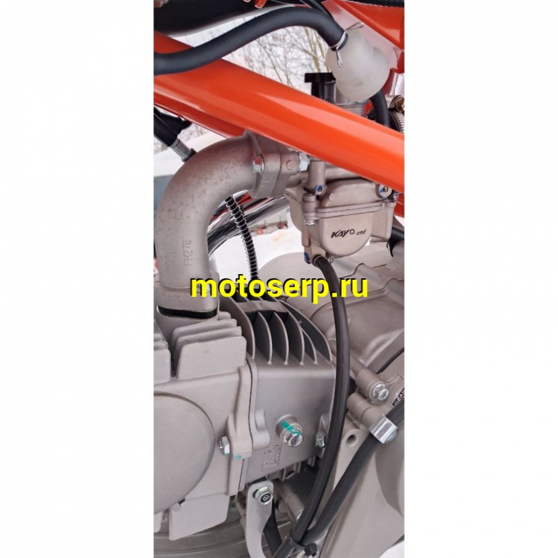 Купить  Питбайк KAYO Basic K125EM 17/14 KRZ (механ. сцепл., эл. стартер) (шт) (SM  купить с доставкой по Москве и России, цена, технические характеристики, комплектация фото  - motoserp.ru