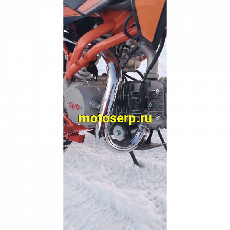 Купить  Питбайк KAYO Evolution K125EM 17/14 KRZ (механ. сцепл., эл. стартер) (шт) (SM  купить с доставкой по Москве и России, цена, технические характеристики, комплектация фото  - motoserp.ru