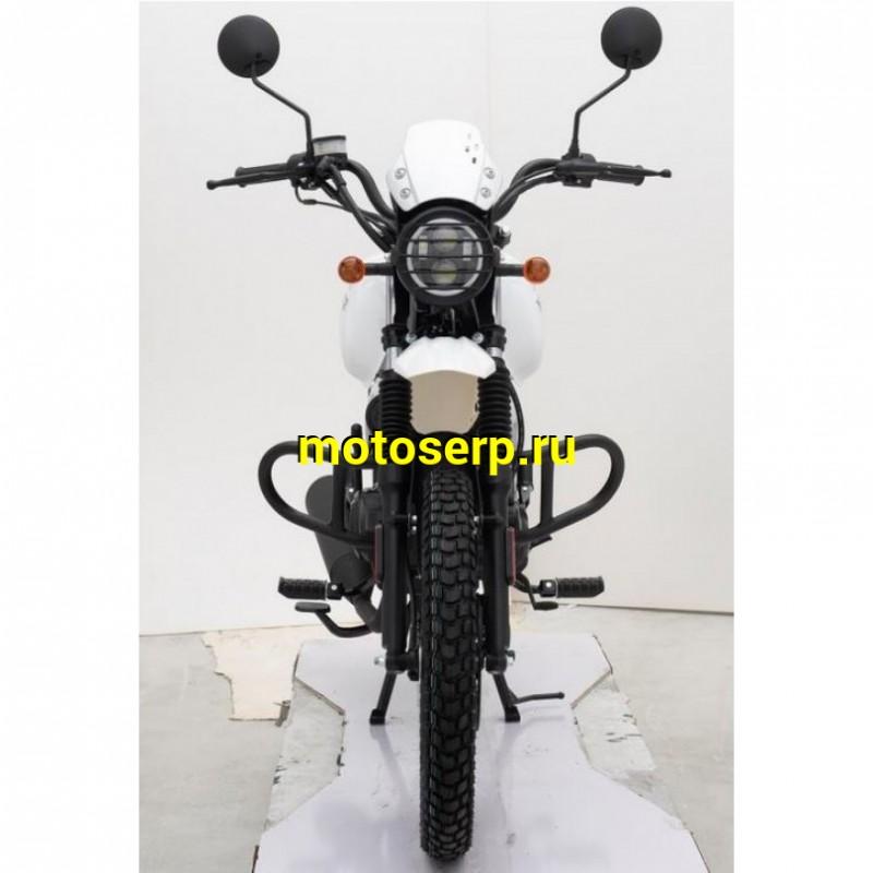 Купить  Мотоцикл Regulmoto SK200 Monster 200сс, 17/17", балансир, линз. фара, литые колеса (шт)  купить с доставкой по Москве и России, цена, технические характеристики, комплектация фото  - motoserp.ru