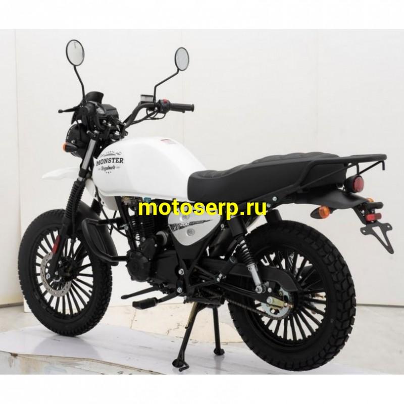 Купить  Мотоцикл Regulmoto SK200 Monster 200сс, 17/17", балансир, линз. фара, литые колеса (шт)  купить с доставкой по Москве и России, цена, технические характеристики, комплектация фото  - motoserp.ru