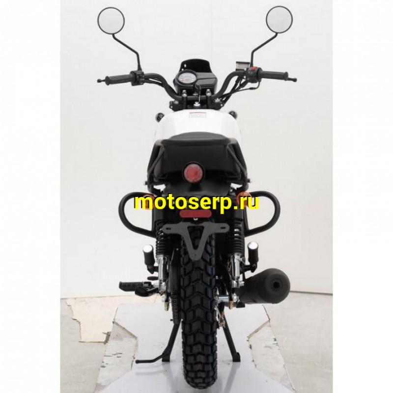 Купить  Мотоцикл Regulmoto SK200 Monster 200сс, 17/17", балансир, линз. фара, литые колеса (шт)  купить с доставкой по Москве и России, цена, технические характеристики, комплектация фото  - motoserp.ru