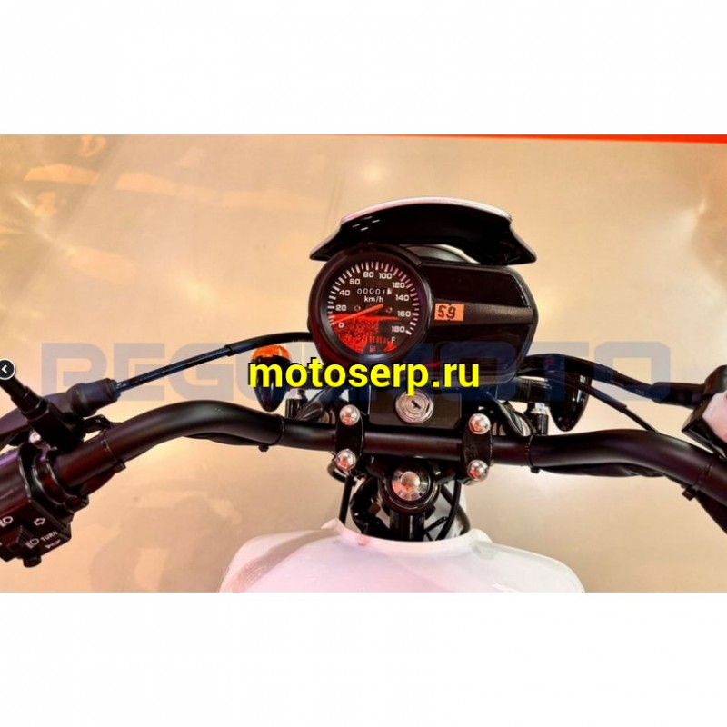 Купить  Мотоцикл Regulmoto Monster 200сс, 17/17", балансир, линз. фара, литые колеса (шт)  купить с доставкой по Москве и России, цена, технические характеристики, комплектация фото  - motoserp.ru