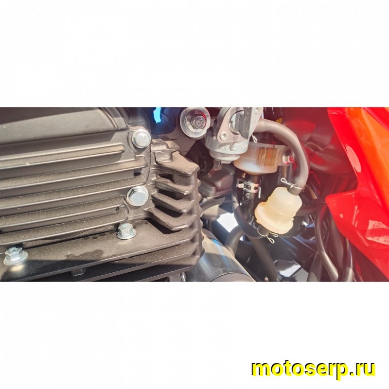 Купить  Мотоцикл внедорожный ATAKI CROSSER 300 (4T PR300) ПТС 21/18 Красный (шт) (SM купить с доставкой по Москве и России, цена, технические характеристики, комплектация фото  - motoserp.ru