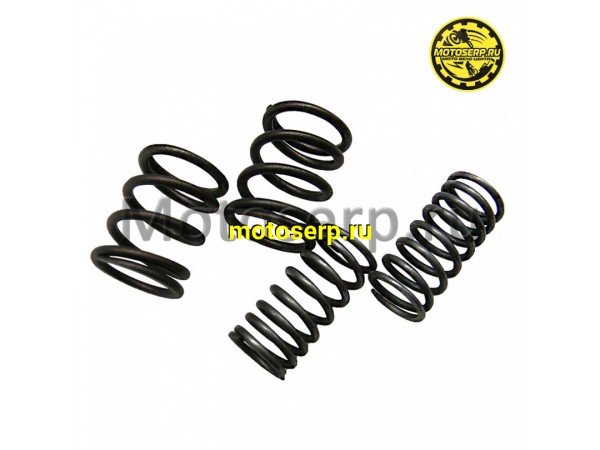 Купить  Пружины клапанов (внутр+наружняя) 139FMB,147FMH,152FMH 50-110cc (пара) (0 купить с доставкой по Москве и России, цена, технические характеристики, комплектация фото  - motoserp.ru