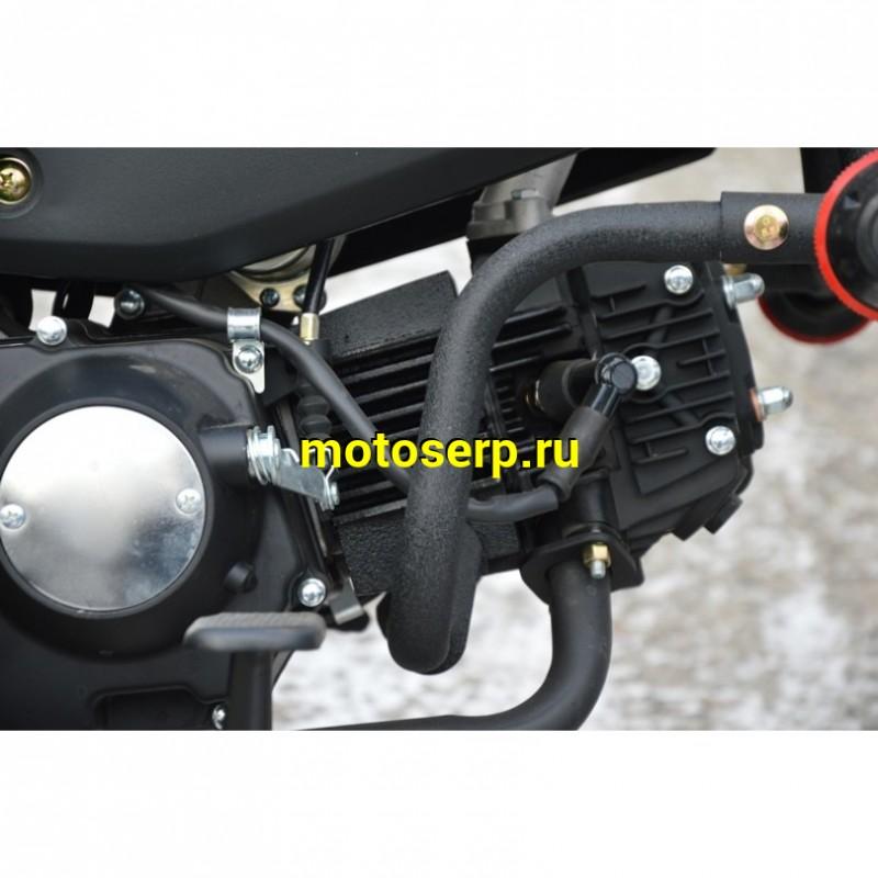 Купить  Мопед ALPHA JAGUAR RS SPORT  4Т; 50cc; колеса 17/17"литые; 4пер, эл. старт; диск/бар, обтекатель, пеги (шт) 01250 (ФОТО купить с доставкой по Москве и России, цена, технические характеристики, комплектация фото  - motoserp.ru