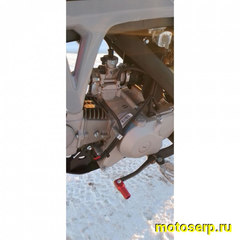 Купить  Питбайк JHL LK125 YX125EM 17/14 2024г. (механ. сцепл., эл. стартер) (шт) (SM  купить с доставкой по Москве и России, цена, технические характеристики, комплектация фото  - motoserp.ru