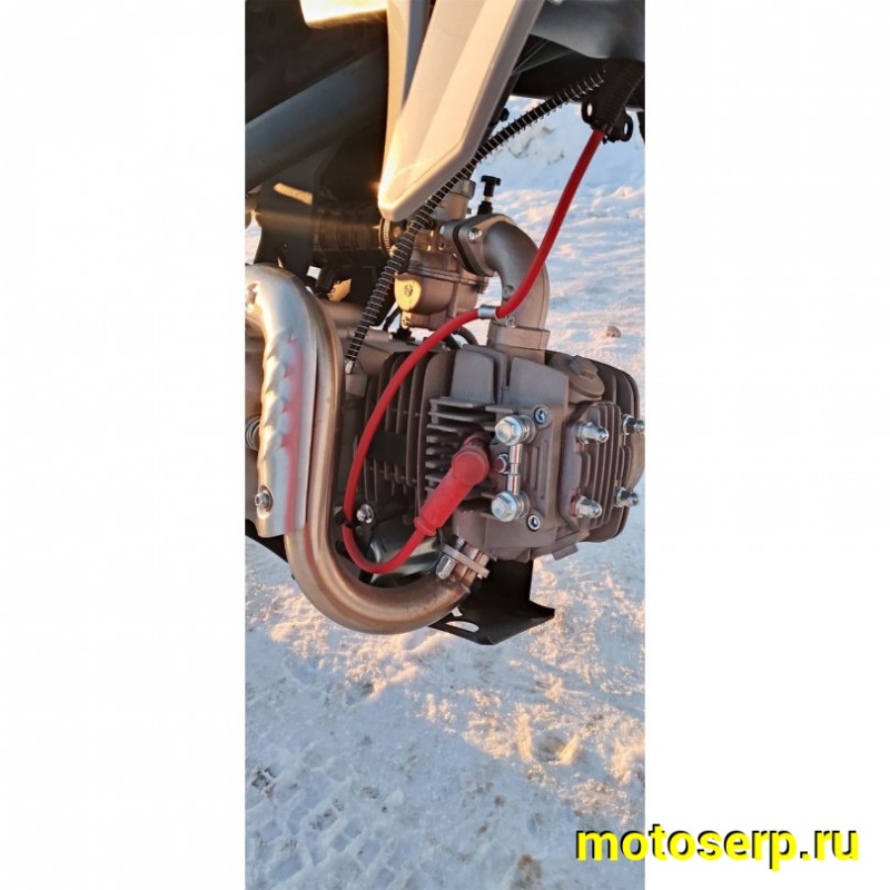 Купить  Питбайк JHL LK125 YX125EM 17/14 2024г. (механ. сцепл., эл. стартер) (шт) (SM  купить с доставкой по Москве и России, цена, технические характеристики, комплектация фото  - motoserp.ru