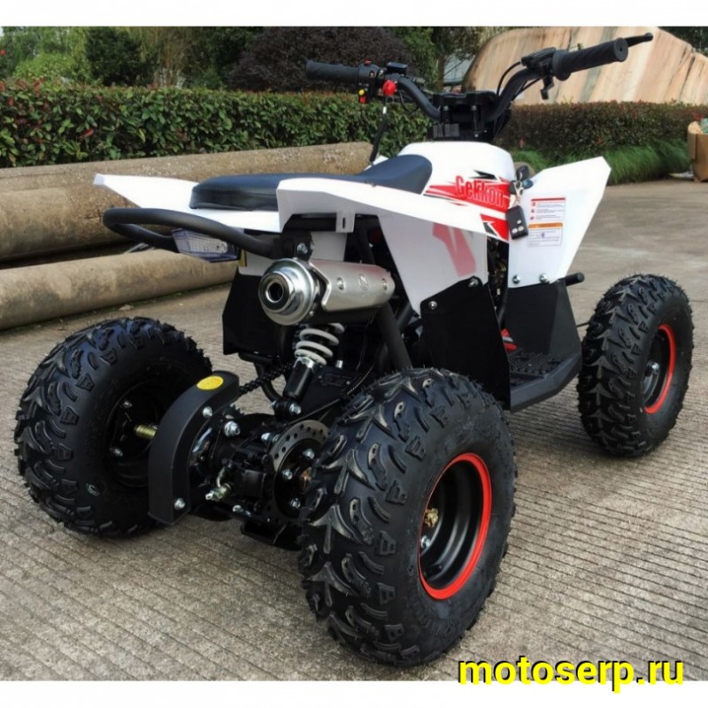 Купить  . 90cc Квадроцикл Минивездеход MOTAX  GEKKON 90 cc 1+1 (Реверс) (шт)  купить с доставкой по Москве и России, цена, технические характеристики, комплектация фото  - motoserp.ru