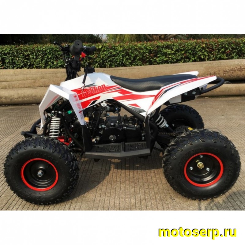 Купить  . 90cc Квадроцикл Минивездеход MOTAX  GEKKON 90 cc 1+1 (Реверс) (шт)  купить с доставкой по Москве и России, цена, технические характеристики, комплектация фото  - motoserp.ru