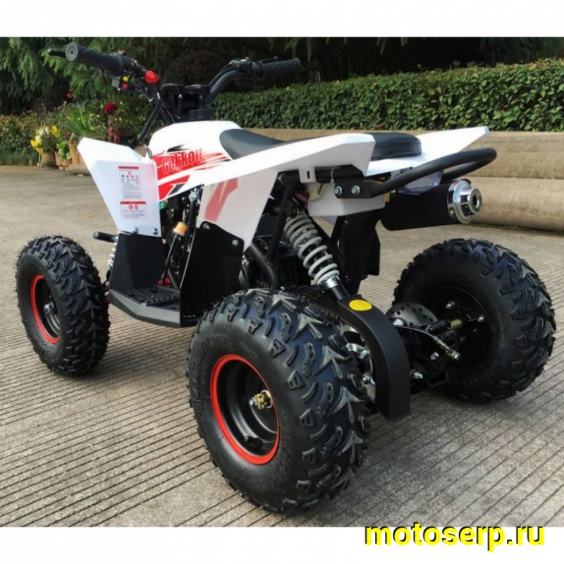 Купить  . 90cc Квадроцикл Минивездеход MOTAX  GEKKON 90 cc 1+1 (Реверс) (шт)  купить с доставкой по Москве и России, цена, технические характеристики, комплектация фото  - motoserp.ru