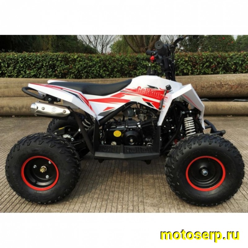 Купить  . 90cc Квадроцикл Минивездеход MOTAX  GEKKON 90 cc 1+1 (Реверс) (шт)  купить с доставкой по Москве и России, цена, технические характеристики, комплектация фото  - motoserp.ru
