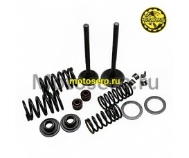 Клапан 163QMK (впуск/выпуск) (D-mm, L-mm, T-5mm) с баланс. валом  (комп) (ML 20167