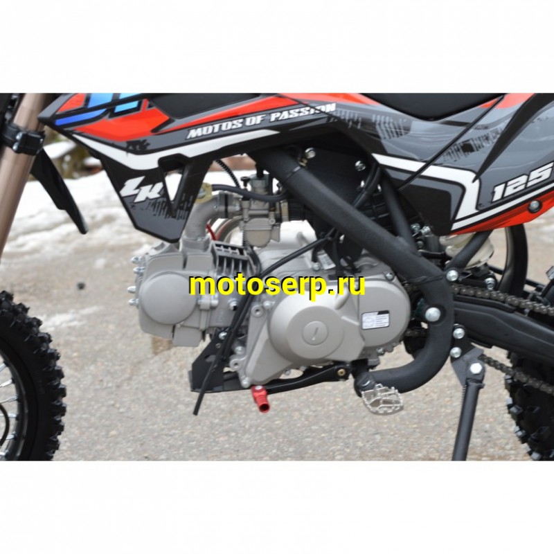 Купить  Питбайк JHL LK125 17/14 (шт) (ТехМаркет купить с доставкой по Москве и России, цена, технические характеристики, комплектация фото  - motoserp.ru