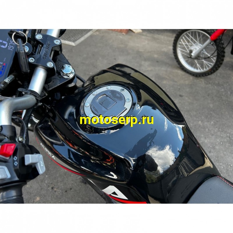 Купить  Мопед Millenium Alpha Champ, пробег 198км  4Т; 50/150cc; колеса 17"литые; 4пер, эл. старт; БЕЗ КИКА!  (шт)  купить с доставкой по Москве и России, цена, технические характеристики, комплектация фото  - motoserp.ru
