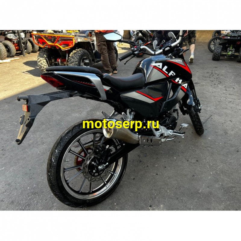 Купить  Мопед Millenium Alpha Champ, пробег 198км  4Т; 50/150cc; колеса 17"литые; 4пер, эл. старт; БЕЗ КИКА!  (шт)  купить с доставкой по Москве и России, цена, технические характеристики, комплектация фото  - motoserp.ru