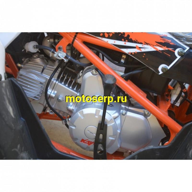 Купить  110cc Квадроцикл KAYO AT110 (белый пластик)(ПТС) 2025 г.  (шт) (SM купить с доставкой по Москве и России, цена, технические характеристики, комплектация фото  - motoserp.ru