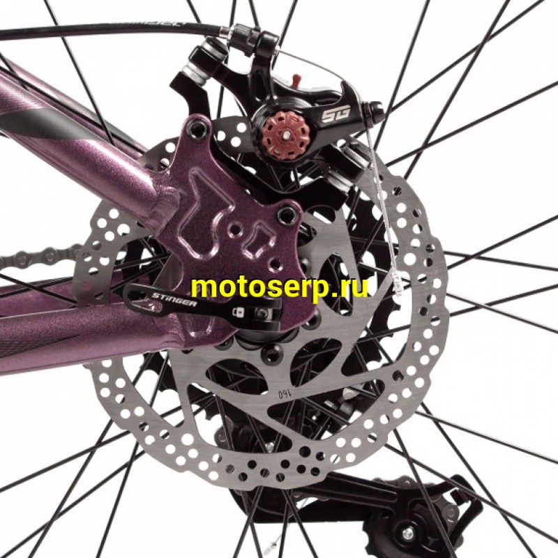 Купить  27.5" STINGER LAGUNA фиолетовый (16&rdquo;) (СТИНГЕР ЛАГУНА) 27,5&rdquo;; горный; ск; рама-алюминий; тормоз-Disk (шт) (ART  купить с доставкой по Москве и России, цена, технические характеристики, комплектация фото  - motoserp.ru
