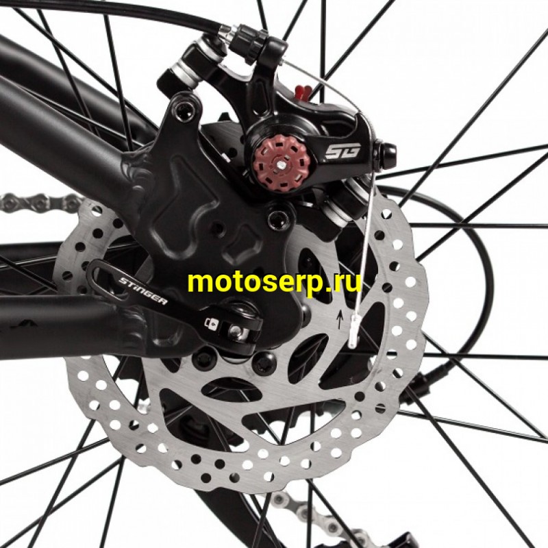Купить  24" STINGER ELEMENT черный (13") (СТИНГЕР ЭЛЕМЕНТ) 24" горный; 8ск; рама-алюминий; тормоз-Disk; вилка пружинно-эластомерная (шт) (ART купить с доставкой по Москве и России, цена, технические характеристики, комплектация фото  - motoserp.ru