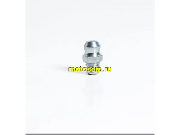 Купить  Пресс-мaсленкa М6х1 (шт) (O-N купить с доставкой по Москве и России, цена, технические характеристики, комплектация фото  - motoserp.ru