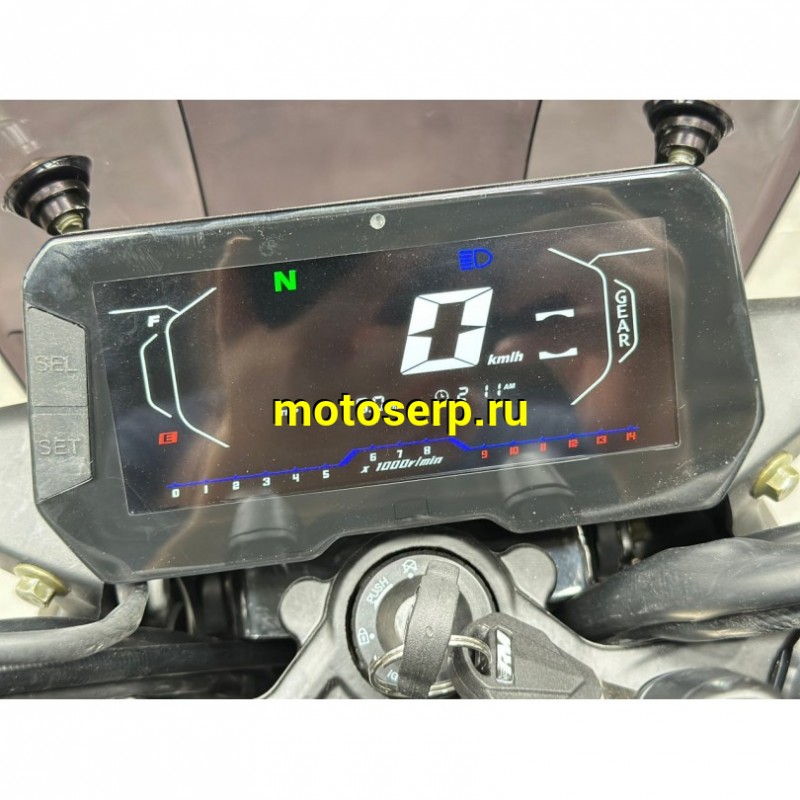 Купить  Мотоцикл Regulmoto Nibbler 300сс  LONCIN FE300 4V  17/17" масл. охл. 27л.с. (шт)  купить с доставкой по Москве и России, цена, технические характеристики, комплектация фото  - motoserp.ru