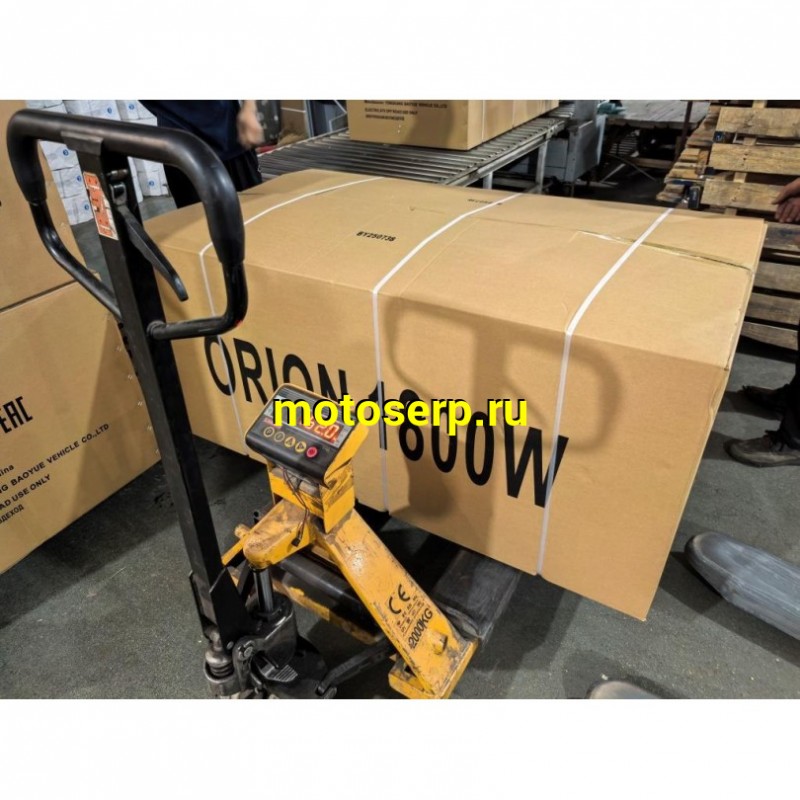 Купить  Электроквадроцикл ММ ORION 1800 подростковы 8/8" E1800W 60V30Ah (шт)  купить с доставкой по Москве и России, цена, технические характеристики, комплектация фото  - motoserp.ru