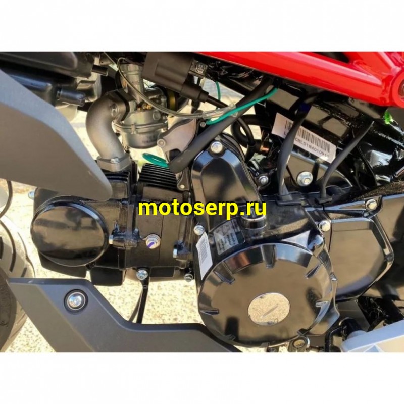 Купить  Мопед Sport JT50 14/14" электростарт (реплика AGUSТA Вrutale) (шт) 01250 (JT  купить с доставкой по Москве и России, цена, технические характеристики, комплектация фото  - motoserp.ru