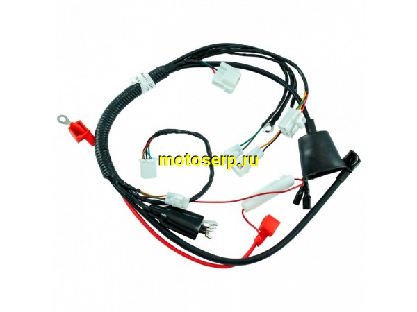 Купить  Проводка главная KAYO MINI YX125 (2022) (шт) (SM 290-4093 купить с доставкой по Москве и России, цена, технические характеристики, комплектация фото  - motoserp.ru